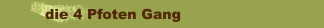 die 4 Pfoten Gang