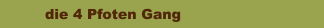 die 4 Pfoten Gang